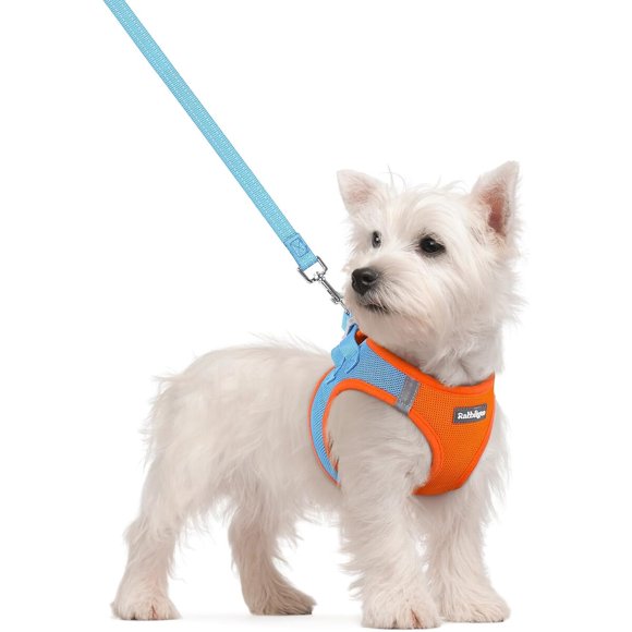 Arnés para Perro Rabbitgoo Step-in Pup Talla S, Pecho 15.1-16.5 in