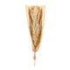 thumbnail image 1 of Avena con Tallo de Sauce 120 cm, 1 of 2