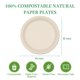 thumbnail image 5 of Platos de Papel Compostables RACETOP 25 cm Paquete de 500, 5 of 7