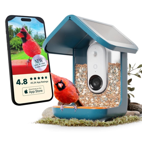 Comedero inteligente para pájaros Bird Buddy Pro Solar con cámara azul
