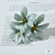 thumbnail image 1 of Xiao Hua 20 cabezas de flores artificiales azul verdoso de 8 cm (3,15 pulgadas), 3 cabezas de lirios bifurcadas, ideales para arreglos florales, ramos de novia y decoración de fiestas., 1 of 3