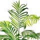 thumbnail image 3 of Planta Artificial Decorativa Arbol Grande Palmera 120cm 10h, 3 of 6
