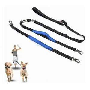 Malltradecl - Correas Para Perros Collares Para Mascota