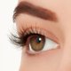 thumbnail image 4 of Pipeta Duo Eyelashes Ardell Light As Air 522, paquete de 2 unidades y 1 g, 4 of 8