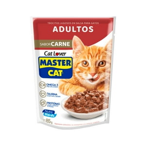 Sobres De Alimento Húmedo Master Cat Carne 20 Un.