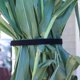 thumbnail image 4 of Correas VELCRO Brand VEL-30765-AMS extra estrechas de 1,27 cm x 9,14 m, 4 of 7