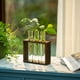 thumbnail image 5 of Maceta colgante de cristal para mesa, estación de propagación, moderna maceta con 3 tubos de ensayo y capullos de flores en soporte de madera, terrario de mesa para esquejes de plantas hidropónicas, d, 5 of 6