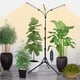 thumbnail image 1 of Grow Light Orchbloom de 3 cabezales con soporte, 27 W, temporizador de 5 modos, 24 a 64 cm, 1 of 8