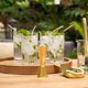 thumbnail image 5 of Viski Reserve Milo Vasos Highball de Cristal – Juego de 4 vasos tipo Collins de 14 oz, fabricados en Europa, ideales para bodas, aniversarios y regalos en ocasiones especiales, 5 of 9