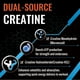 thumbnail image 2 of Suplemento Tabletas Masticables De Creatina Y 4220 Mg 60 Porciones, 2 of 3