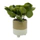 thumbnail image 2 of Planta Artificial 26cm, 1 unidad, 2 of 4