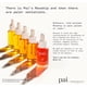 thumbnail image 3 of Aceite Facial Organic Rosa Mosqueta Bioregenerate 30 Ml, 3 of 9