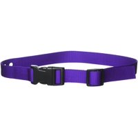 Correa De Repuesto Tskckna Grain Valley 1 Morada Para Petsafe