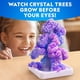 thumbnail image 5 of Kit de cultivo de cristal National Geographic Ultimate con 5 tipos, 5 of 9