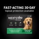 thumbnail image 2 of Prevención de pulgas y garrapatas NEXTSTAR para perros grandes, 6 dosis mensuales, 2 of 9