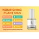 thumbnail image 3 of Aceite Fortalecedor De Uñas Para Mejorar El Crecimiento 10 Ml Vegano, 3 of 8