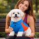 thumbnail image 5 of Playera para perro Pet Life ® Active Barko Pawlo de secado rápido para fitness, 5 of 9
