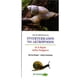 thumbnail image 1 of Libro guía de identicación de invertebrados no artrópodos, 1 of 2