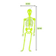 thumbnail image 3 of Pack 4 Colgantes Decorativos Luminosos Verde Halloween 2025, 3 of 5