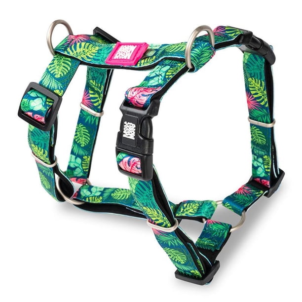 Arnés Para Perro Talla S Ajustable Diseño Tropical