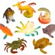 thumbnail image 4 of Set de juguetes Funcorn Toys Ocean Sea Animal, paquete de 52 unidades para niños mayores de 3 años, 4 of 6