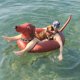 thumbnail image 2 of Tubo inflable para fiestas de perros GoFloats Wiener para adultos/niños, 2 of 6