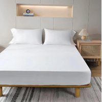 Riqui - Sabanas Inferior Bajera 1 Plaza