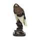 thumbnail image 2 of Figura Águila Calva sobre roca, 2 of 3