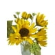 thumbnail image 3 of Flor Maravilla 52cm, 3 of 3