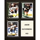 thumbnail image 1 of Placa C&I Collectables NHL Anaheim Ducks 20 x 25 cm marrón, 1 of 1