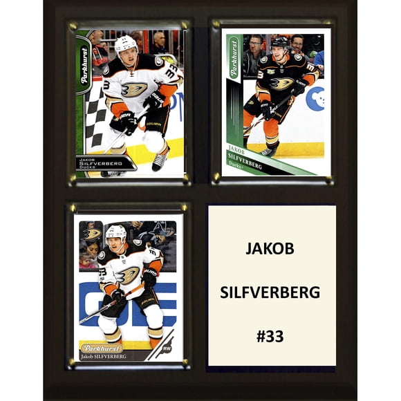 Placa C&I Collectables NHL Anaheim Ducks 20 x 25 cm marrón