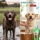 thumbnail image 3 of Shampoo Perros Hipoalergénico Mr. Rob Pet 300 Ml Profesional, 3 of 10