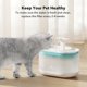 thumbnail image 5 of Filtros de repuesto PETLIBRO para fuente de agua Capsule Cat, 5 of 6