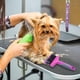 thumbnail image 3 of Cepillo slicker flexible Groomer Essentials - Doble/Firmeza media, 3 of 8
