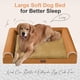 thumbnail image 2 of Cama Ortopédica para Perros Pequeños Lavable: Cama con Respaldo para Perros Pequeños, Espuma de Celda de Huevo, Sofá Impermeable con Funda Removible - Naranja, 2 of 7
