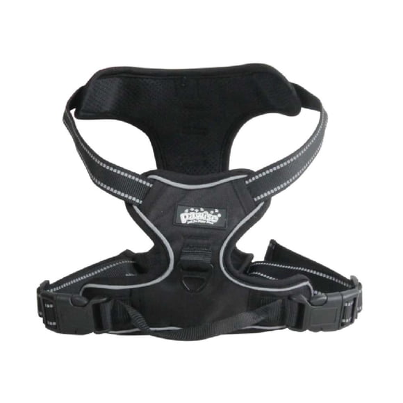 Arnes easy walking medium pawise, 1 Un