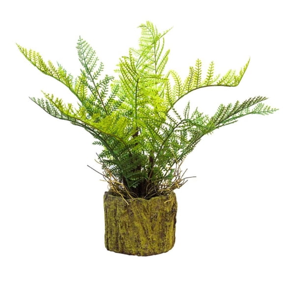 Planta Decorativa Helecho Rustico 36 cm