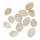 thumbnail image 2 of 12 piezas de concha oval natural encanto de cuentas joyas hallazgos accesorios, 2 of 4
