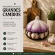 thumbnail image 5 of Porta Ajos Decorativo Caja Para Ajos Organizador Cocina purpura, 5 of 9
