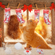 thumbnail image 4 of Juguetes navideños para gatos, calcetines navideños surtidos, paquete variado, juguete interactivo navideño para gatos de interior y gatitos., 4 of 5