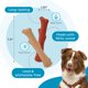 thumbnail image 4 of Juguetes masticables para perros Outward Hound Dogwood, duraderos, paquete de 2 unidades, tamaño mediano, 4 of 7