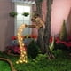 thumbnail image 1 of Luces solares para regadera de jardín, guirnalda de luces solares para exteriores, luces de ducha colgantes impermeables con soporte para pasarelas, caminos, patios y decoraciones al aire libre., 1 of 7