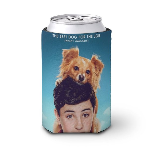 Poderes Curativos de Amigo Funda enfriadora de latas, aislante de bebidas para mantener frías o calientes, funda térmica plegable para latas, portabebidas reutilizable