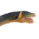 thumbnail image 3 of Figura de dinosaurio marino Elasmosaurus de Safari Ltd., 25 cm, 3 of 5