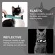 thumbnail image 2 of Collar impermeable para gatos de Unique Bargains para Airtag, collar reflectante con campana, collar de seguridad para gatos con soporte para Airtag, collar para gatos para Apple Air Tag negro, 2 of 7