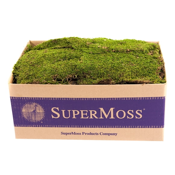 Musgo en láminas preservado SuperMoss 21508 verde fresco 2.27 kg