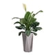 thumbnail image 1 of Macetero autorregante Ana Luisa 58, 1 of 3