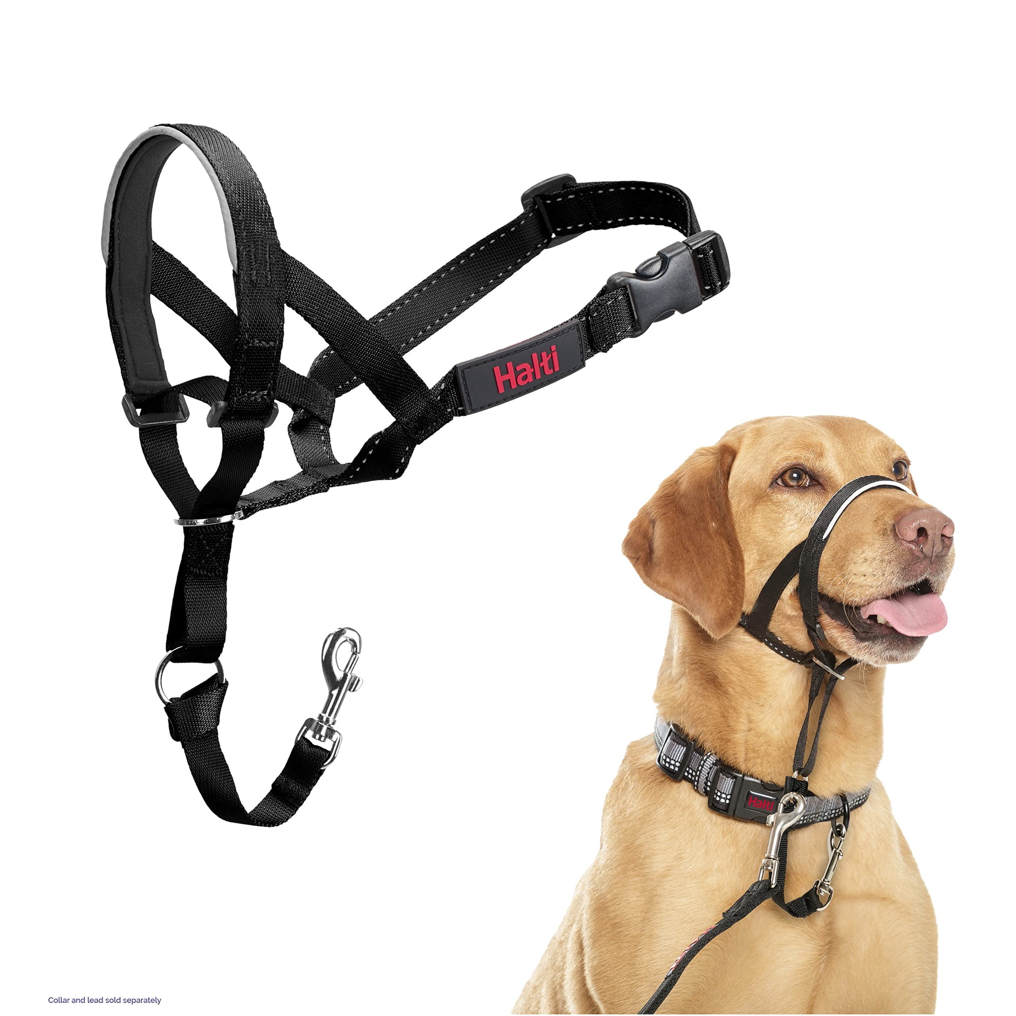 The Company Of Animals - Collar Para Perro Halti, Antitirones, Ajustable, Reflectante, Negro