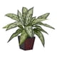 thumbnail image 2 of Planta artificial Nearly Natural Silver Queen (juego de 2), 2 of 2