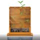 thumbnail image 2 of Kit de Ciencia 4M Grow‑A‑Maze: Laboratorio de Crecimiento de Plantas DIY, 2 of 8